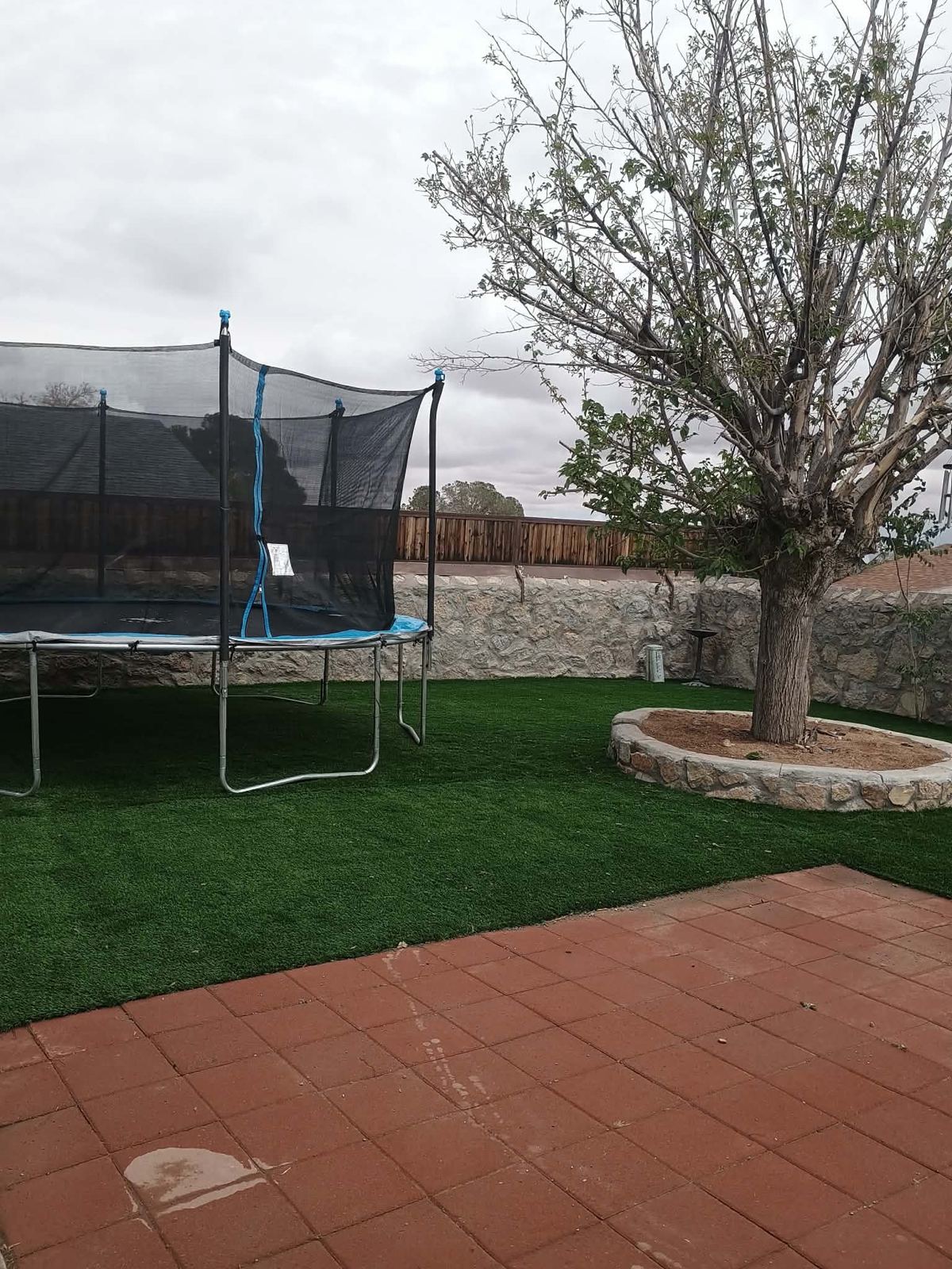 Backyard turf installation